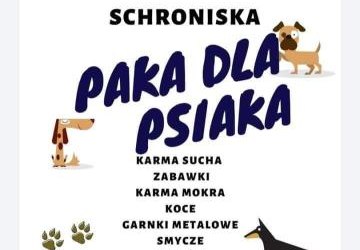 PAKA DLA PSIAKA